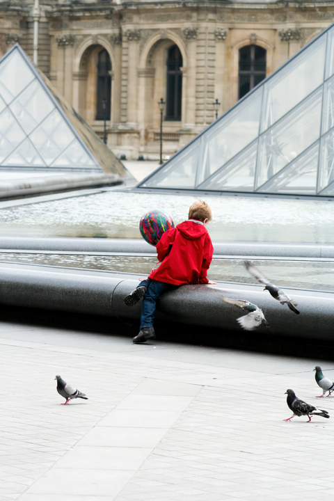 A Day At The Louvre \ Paris 2008