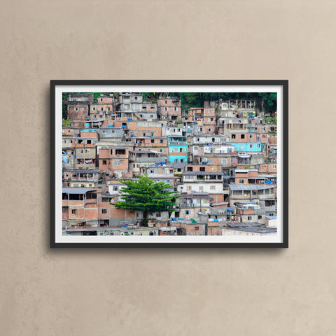 Favela Tree \ Rio de Janeiro 2010