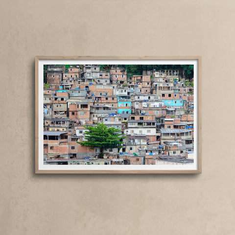 Favela Tree \ Rio de Janeiro 2010