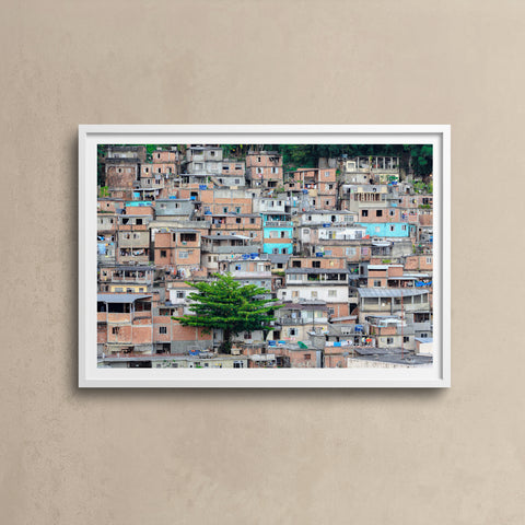 Favela Tree \ Rio de Janeiro 2010