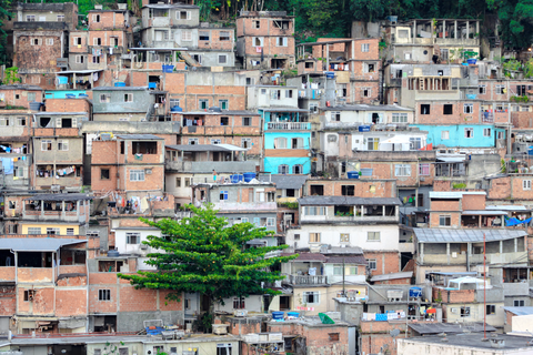 Favela Tree \ Rio de Janeiro 2010