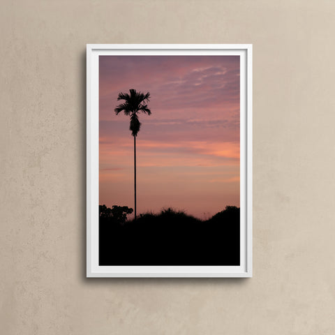 Lone Palm Pink Sky \ Bali 2018